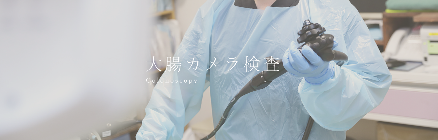 大腸カメラ検査 Colonoscopy