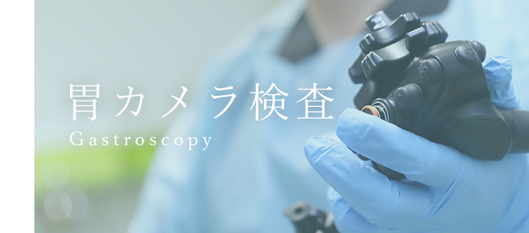 胃カメラ検査 Gastroscopy