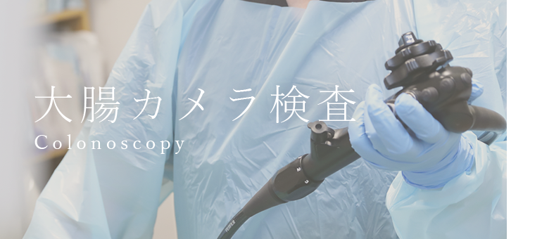 大腸カメラ検査 Colonoscopy